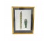 PRINT-(1) Tall & (1) Short Cactus in Gold Frame