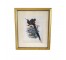 PRINT-Black & Brown Sicklebill Birds on Branches in Gold Frame