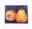 (85210735)PRINT-Still Life of (2) Pears