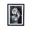 (HDEW0103)FRAMED PHOTOGRAPHY-Blk/Wht Photo-Daisy on Ear