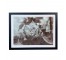 (HDEW0108)FRAMED PHOTOGRAPHY-Blk/Wht Photo-Single Rose