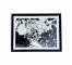 (HDEW0110)FRAMED PHOTOGRAPHY-Blk/Wht Photo-Tree Branches