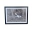 (HDEW0113)FRAMED PHOTOGRAPHY-Blk/Wht Photo-Dalmatian w|Bandana in Forest