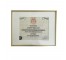 (85170070)CERTIFICATE-Police Dept. of Pennsylvania