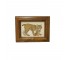 (85210786)PRINT-Bobcat w|Cub in Wood Frame