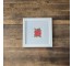 (8521PJ66)Rose in White Museum Frame