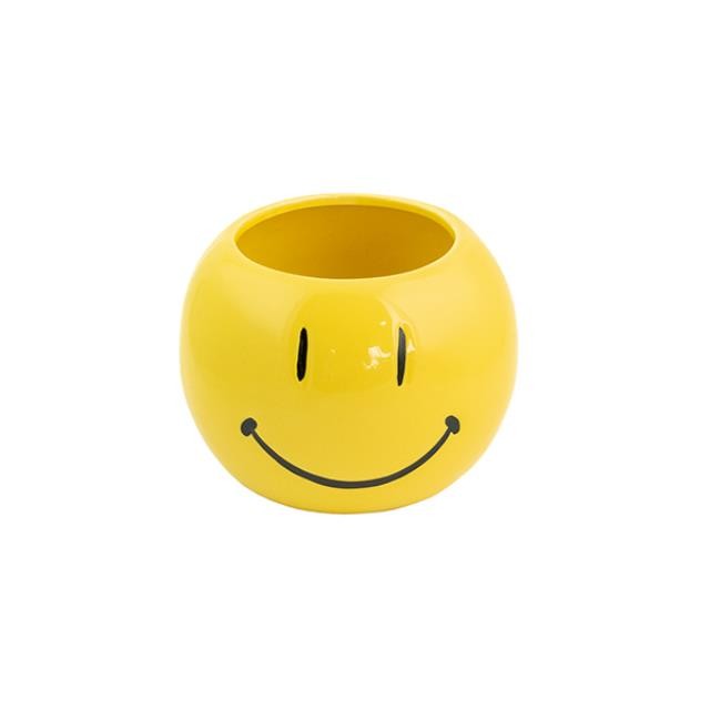 PLANTER-Yellow Smiley Face