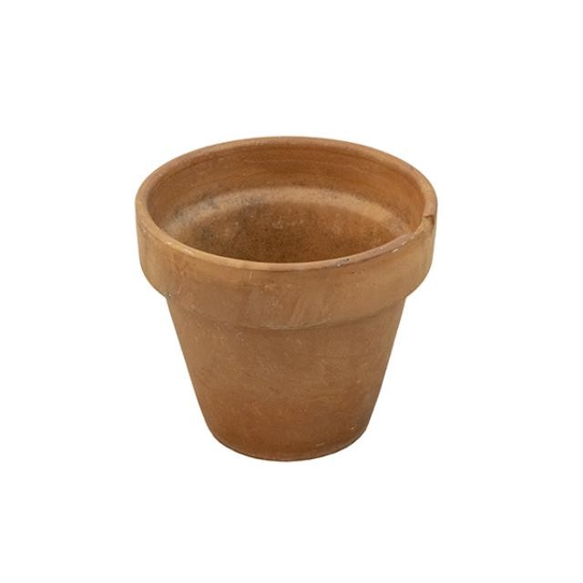 POT-Terracotta 5 5/8"D