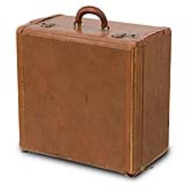 LUGGAGE-BROWN LEATHER CUBE