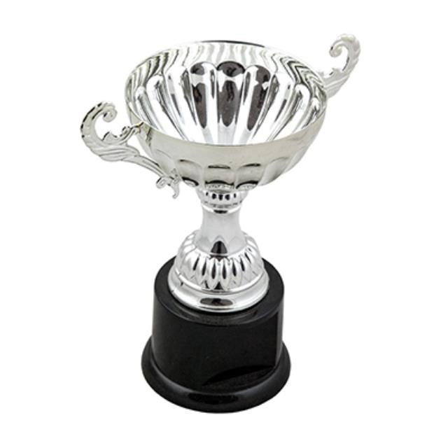 Trophy- Silver Cup