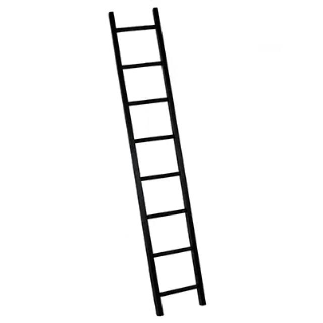 LADDER-Tall/Can be Painted Different Colors