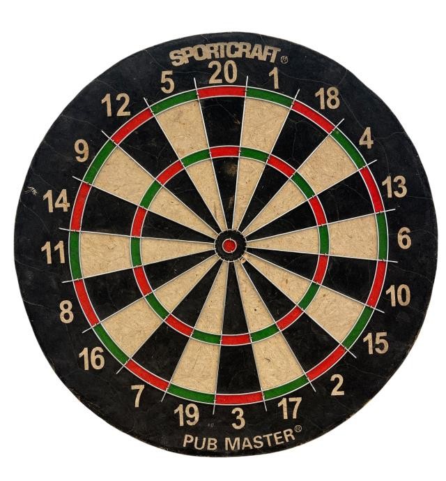DART BOARD-18DM