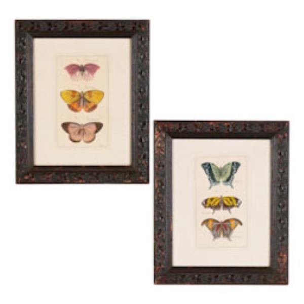 PRINT-SET2-BUTTERFLIES HAND CO