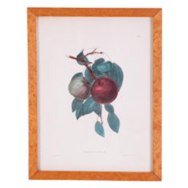 PRINT-JERSEY CRAB APPLE 9.5X12