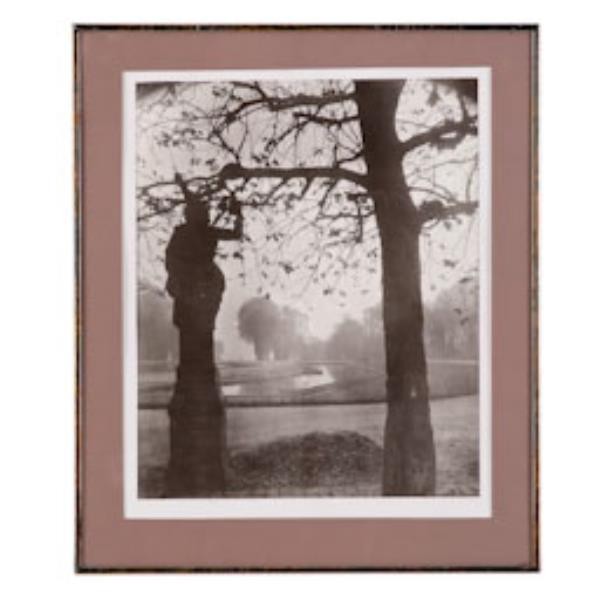 PRINT-LANDSCAPE MED/NIC