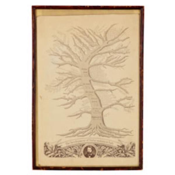 PRINT-FR-"DEVELOPMENT OF VIOLI