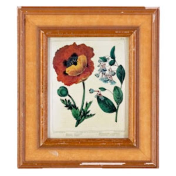 FRAMED PHOTO-12X14 flower w/st