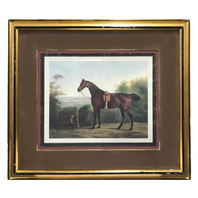 PRINT-PR-25X80-HORSE IN FIELD