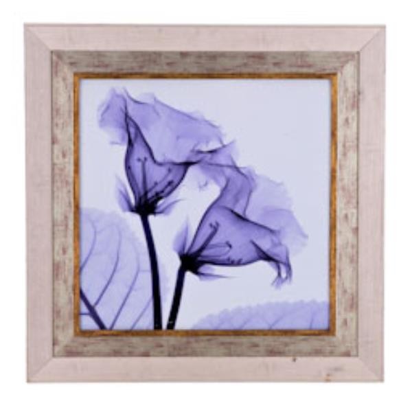 PRINT-34SQ- BLUE FLOWERS-X-RAY