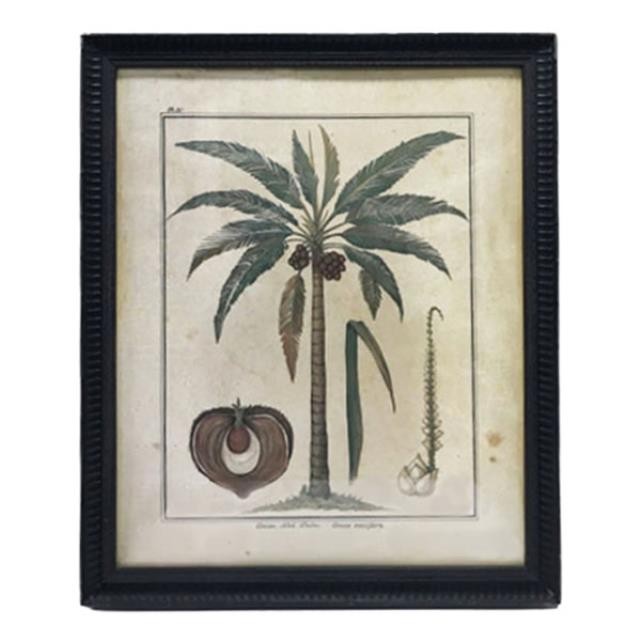 PRINT-18X22-COCONUT PALM