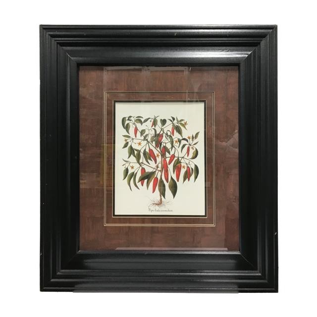 PRINT-CHILLI PEPPERS-26X28-BLK