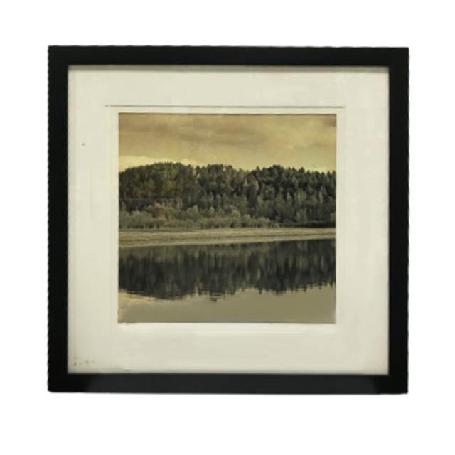 PRINT-TREES-REFLECTION IN POND