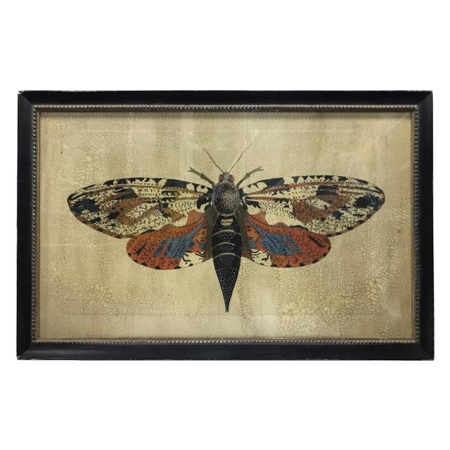 PRINT-BUTTERFLY-BLACK FRAME