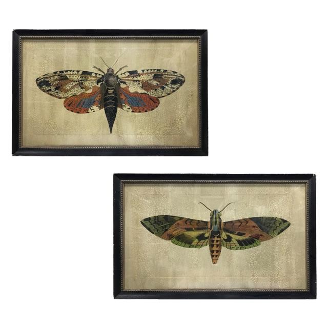 PRINT-BUTTERFLY-BLACK FRAME