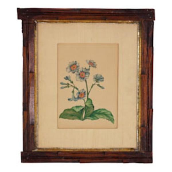 Illustration Flowers Framed