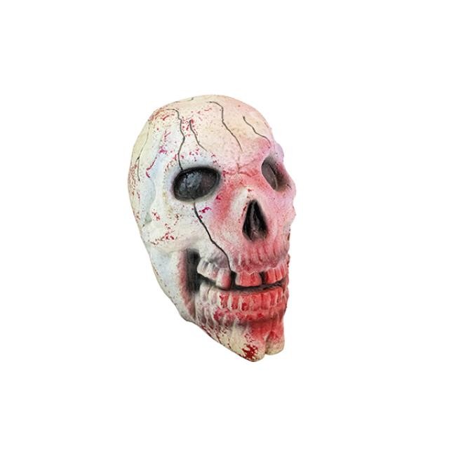 SKULL-PLASTIC WHT