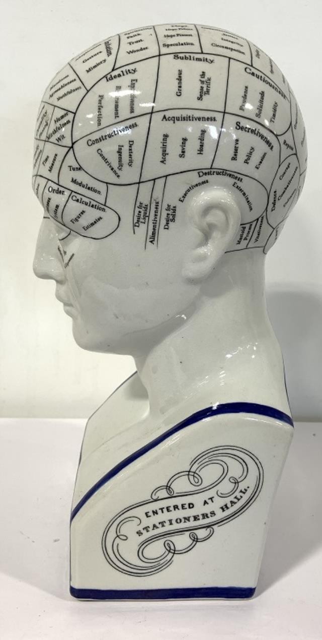 White Phrenology Head Sectioned Labeled