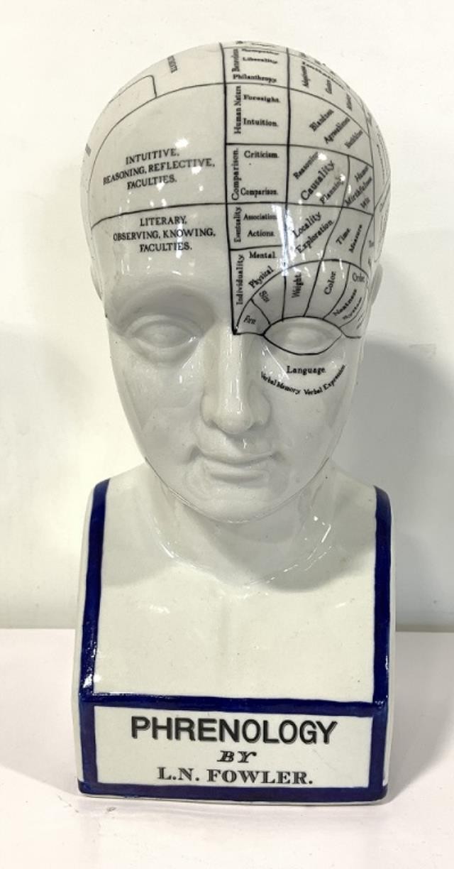 White Phrenology Head Sectioned Labeled