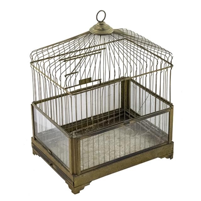 BIRDCAGE- Brass Wire Square w Glass