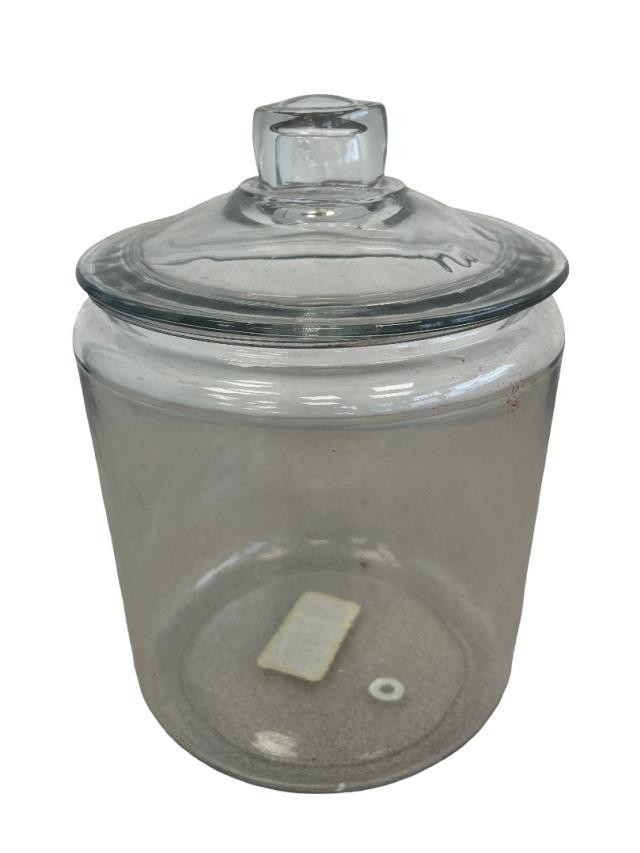 Apothecary Jar (10.25"H) Clear