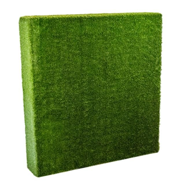 Screen-Turf Wall