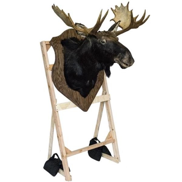 Moose Head-10PT Antlers On Plaque