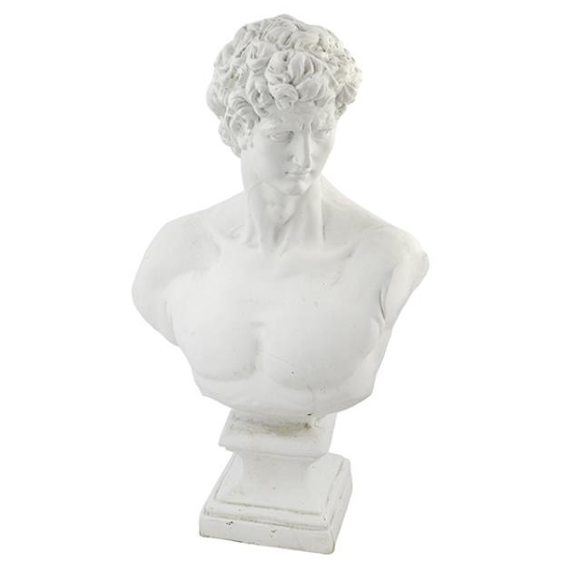 BUST-David-Plaster-23.5"H