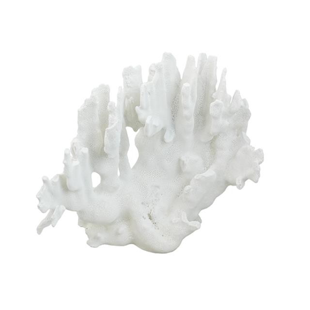 SCULPTURE-White Fan Coral