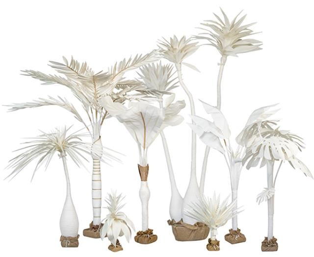PALM TREE-Natural Canvas Traveler's Palm