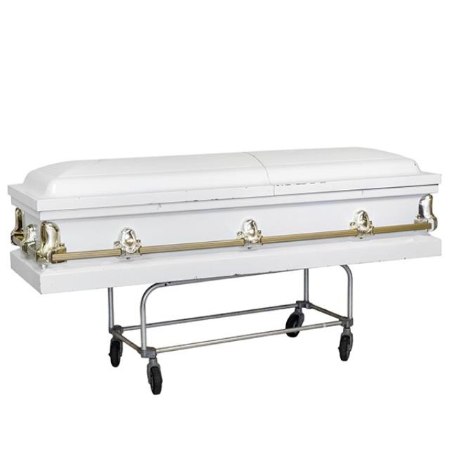 COFFIN-White Enamel W/Brass Hardware