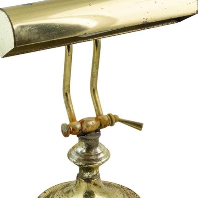 LAMP-TABLE-Brass/Rusted-Gooseneck-Hooded Shade