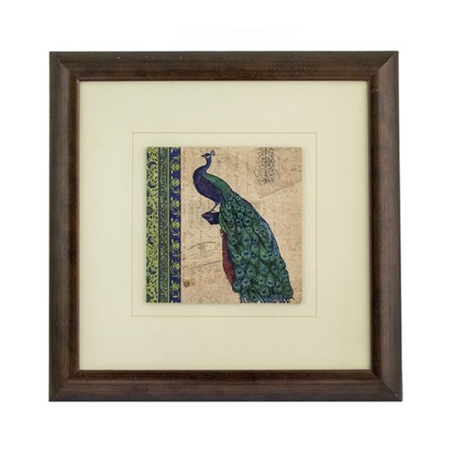 FRAMED PRINT-Peacock Facing Right-Postcard Back