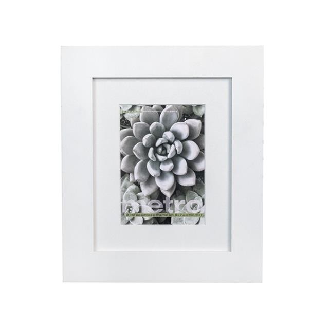 FRAME-Picture-White Matte Seamless Frame