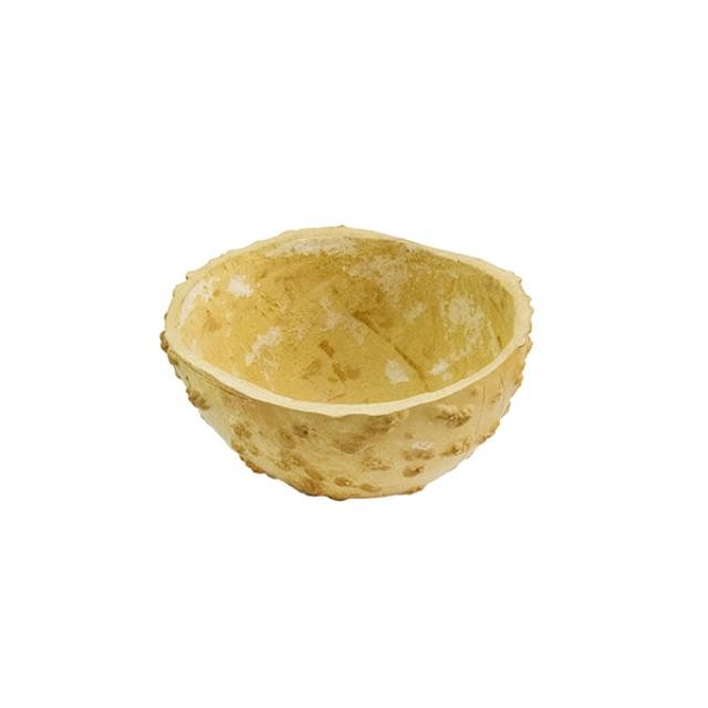 DECORATIVE BOWL-Gourd Bowl