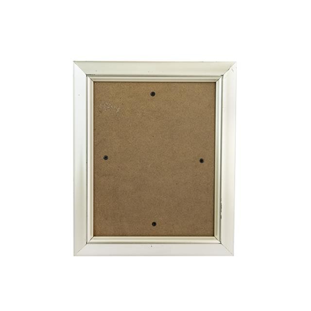 PICTURE FRAME-Brushed Silver Plastic