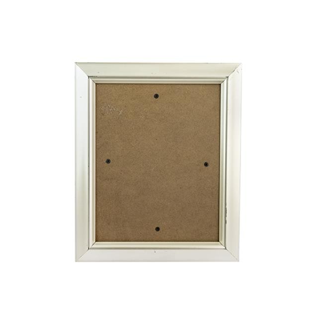 PICTURE FRAME-Brushed Silver Plastic