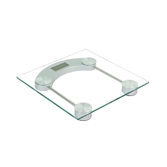 SCALE-Portable Digital Glass