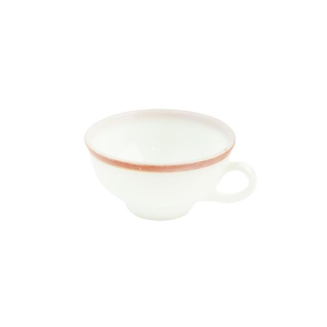 CUP & SAUCER-Vintage Coral Band w/Gold Trim