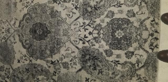 RUG (9x12) Vintage Boho Paisley