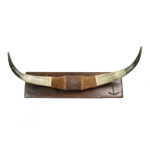 ANIMAL HORN-Ivory on Wooden Base